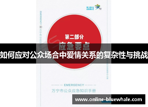 如何应对公众场合中爱情关系的复杂性与挑战