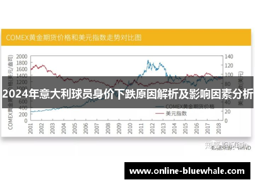 2024年意大利球员身价下跌原因解析及影响因素分析